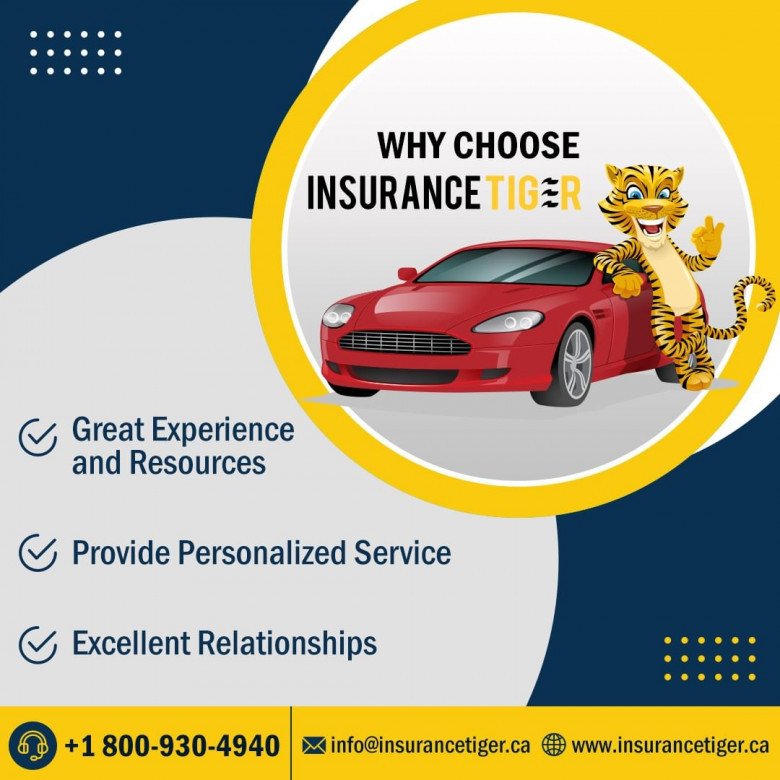 insurancetiger.ca