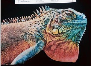 DIGITAL 3D PRINT - PUFF