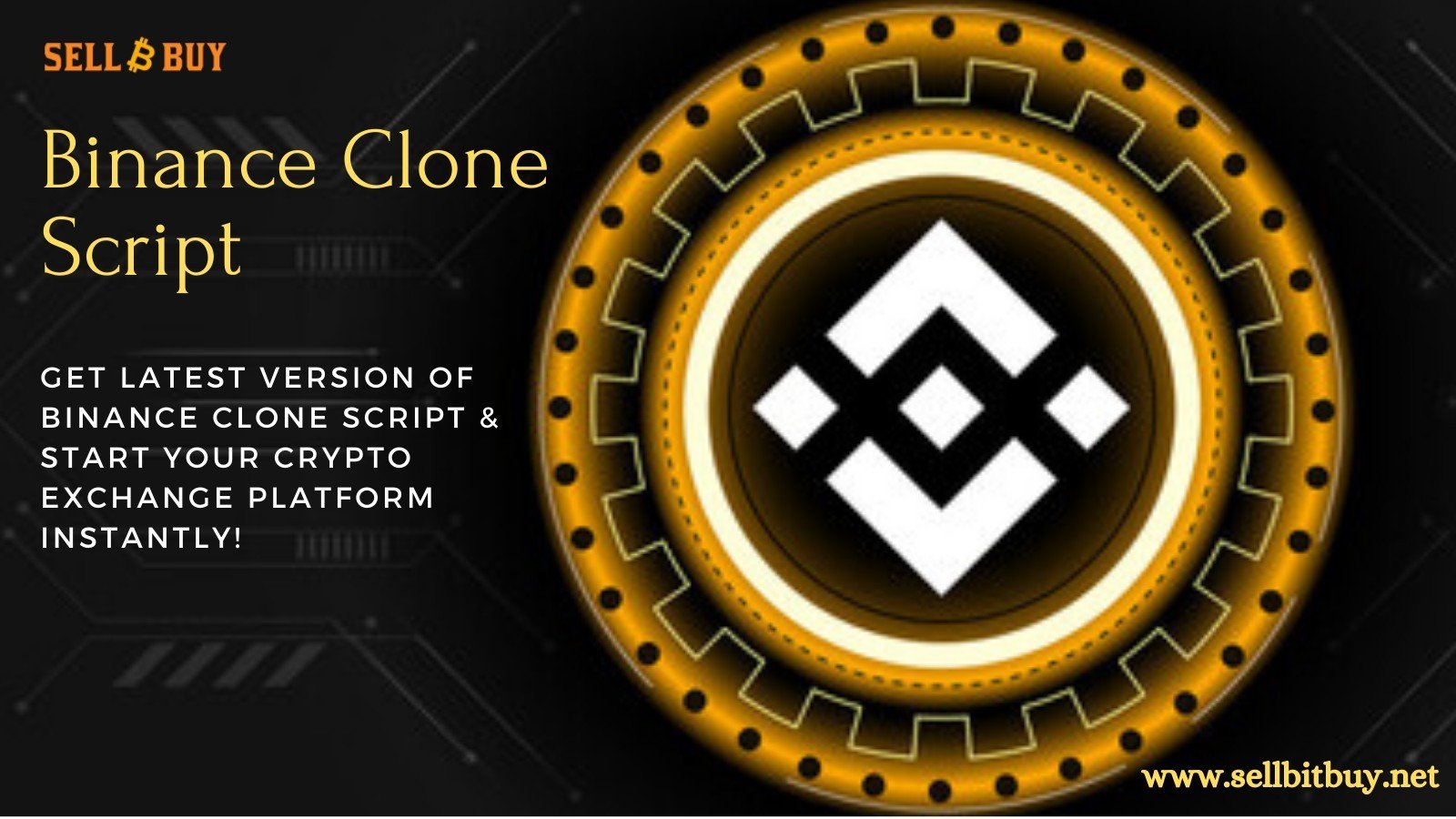 Start a Profitable Binance DEX Platform In A Week