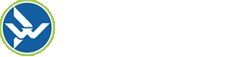 Prominent SEO Service Provider in Melbourne