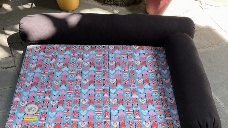 Selecting a Bed For Your Dog - How to Decide on a Dog Bed