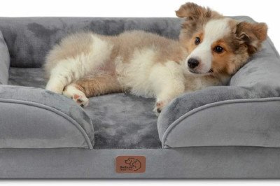 Benefits of an Orthopaedic Dog Bed