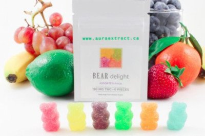 Aura Extract Bear Delight – Assorted