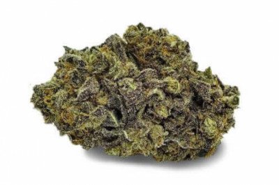 Purple Space Cookie Strains