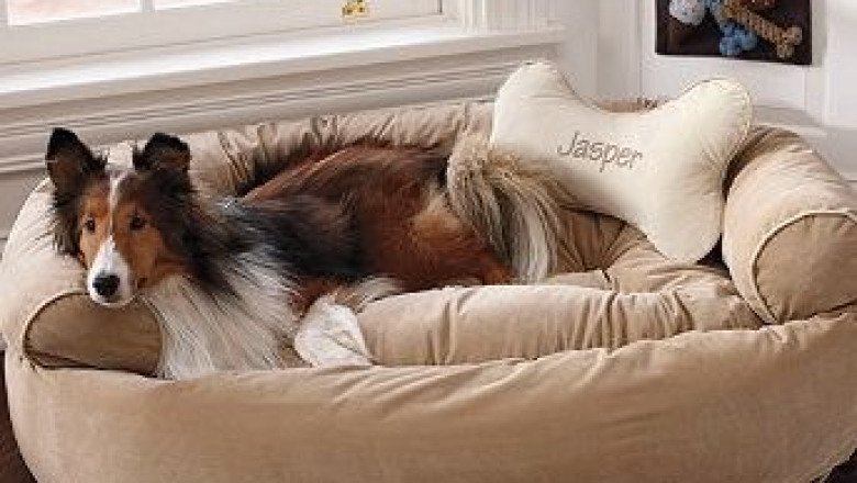 Choose the Right Dog Bed For Your Dog Or Puppy