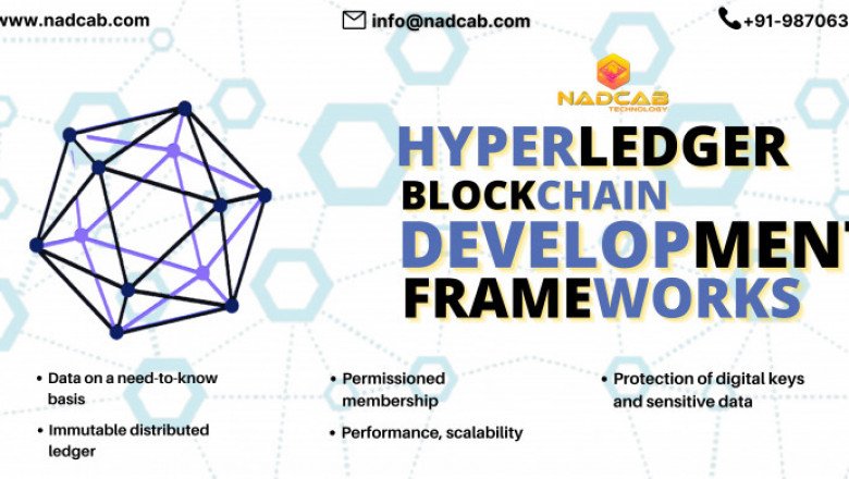 A Guide to Hyperledger Development