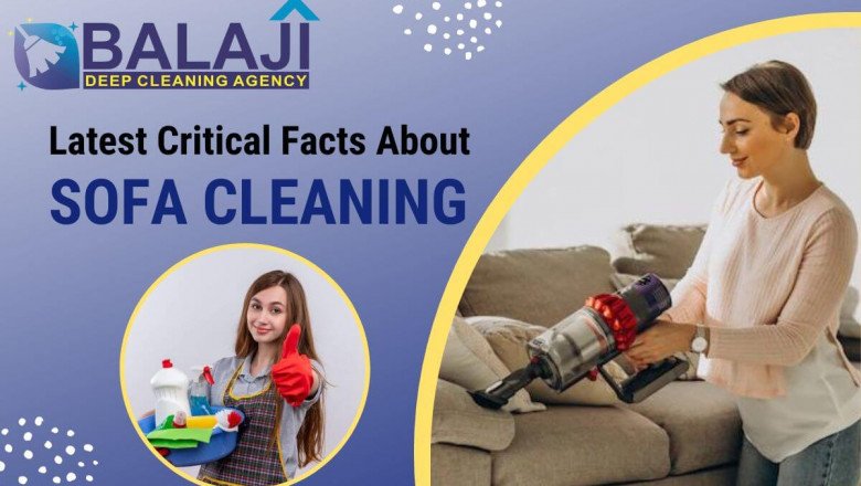 Latest Critical Facts About Sofa Cleaning