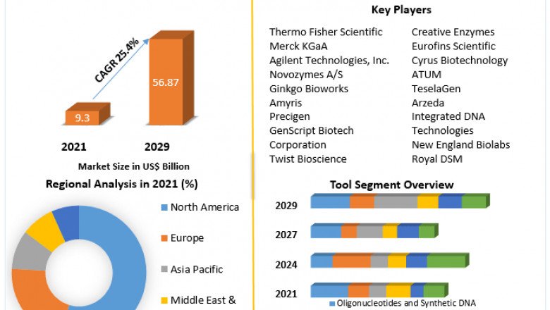 Synthetic Biology Market Size, Analysis, Top Players, Development And Forecast 2029