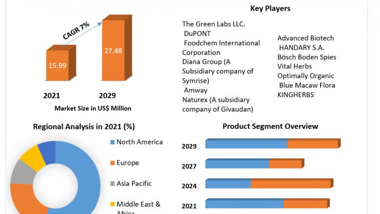 What Is The Growth Rate Of Acerola Extract Market?