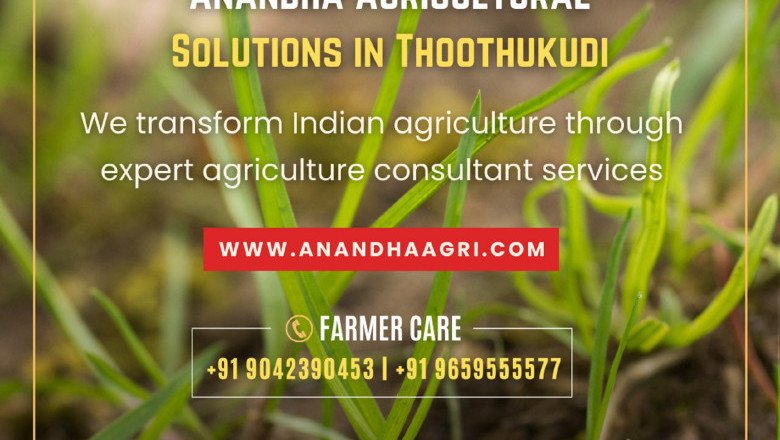 Compost Manure - Latest price and trends in Tiruvannamalai