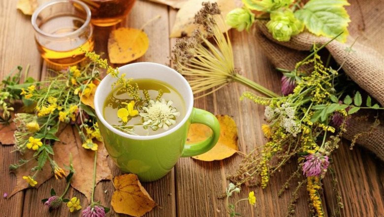 What is Herbal Tea? What are the Benefits of Herbal Tea?
