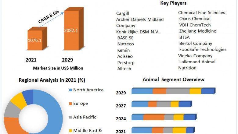 Feed Antioxidants Market Opportunities, Future Trends, Business Demand and Growth Forecast 2029