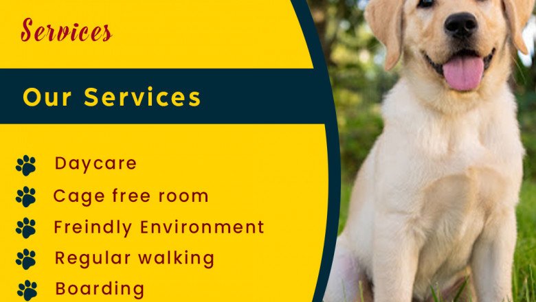 Ways To Keep Your Dog Warm And Active During Winter