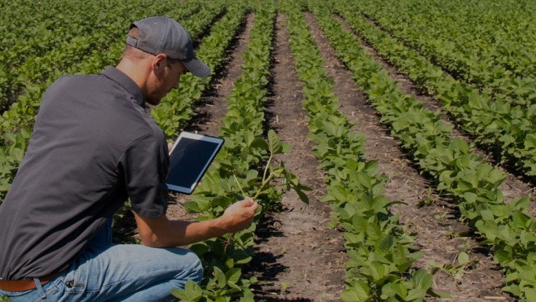 A Seed Treatment Is An Important Part Of Agriculture That Improves Seed Performance And Protects Seeds From Environmental Stressors