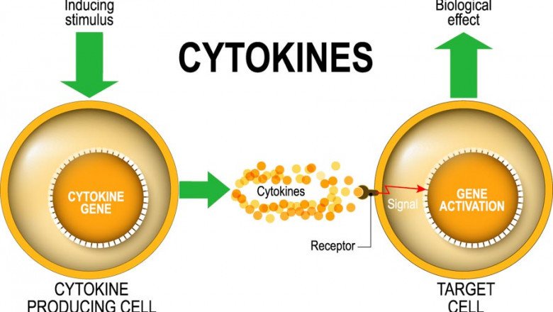 Cytokine Therapy Is An Approach To Treating Disease That Involves The Use Of Cytokines Or Agents That Target Cytokine Signaling