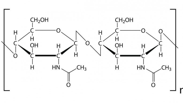 A Plentiful And Natural Biopolymer Is Chitin