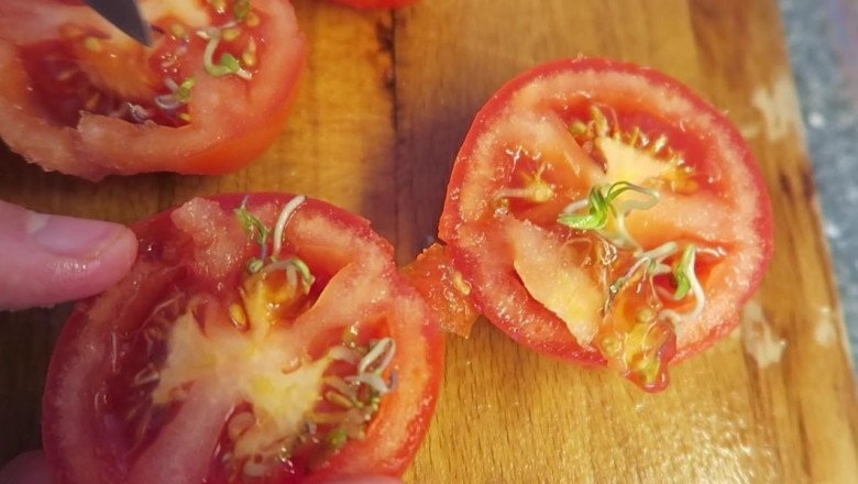 In Addition To Dietary Fiber, Protein And Water, Tomatoes Seeds Contain Organic Compounds Such As Lycopene