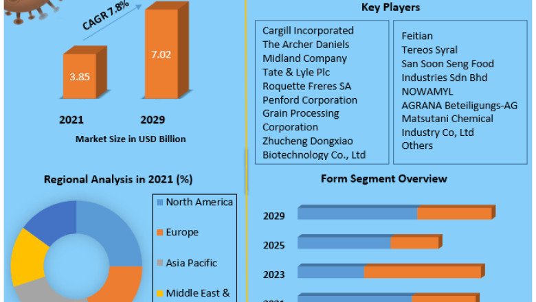 Maltodextrin Market Size, Analysis, Top Players, Target Audience and Forecast to 2029