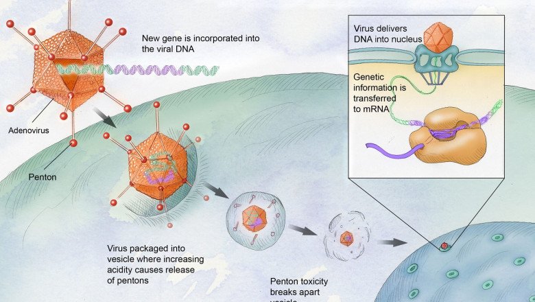 "New Hemophilia Gene Therapy Drug Approved by FDA"