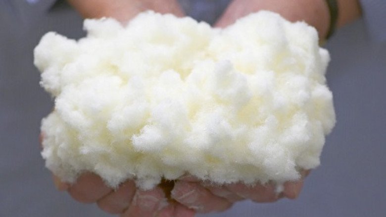 "The Future of Dissolving Pulp: Meeting Growing Demand Sustainably"