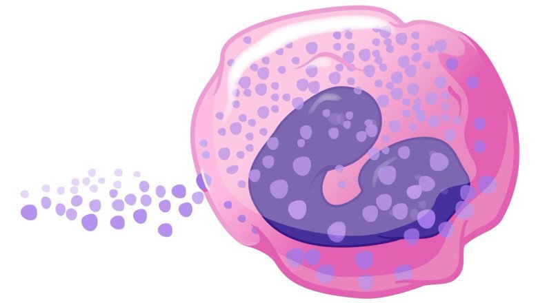 An Esophageal Condition Called Eosinophilic Esophagitis (Eoe) Is Characterized By Chronic Inflammation