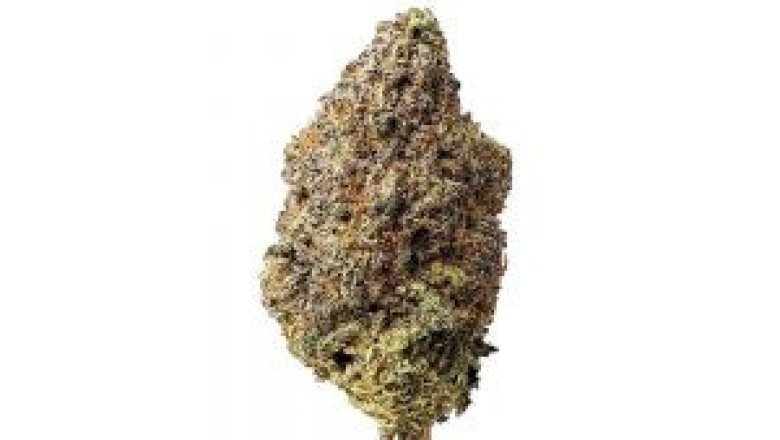 Diablo OG AAAA