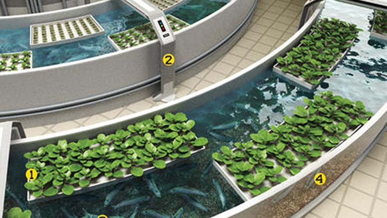Know How and where Aquaponics are used?
