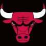 bulltheme