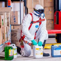 expertpestcontrolcanberra