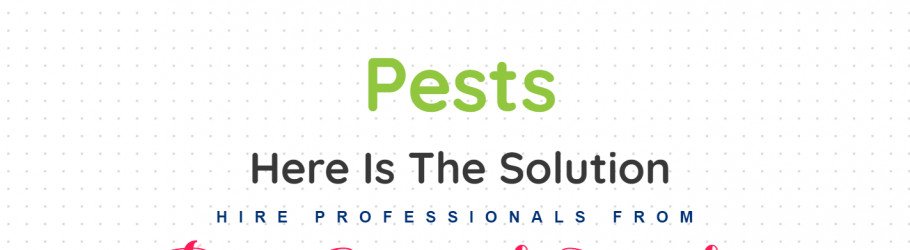 pestcontrolcampbelltown