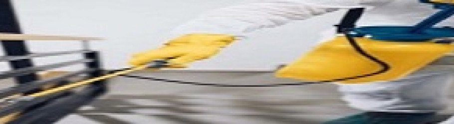 pestcontrolkangaroopoint