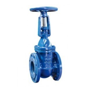 DIN Rising Stem Gate Valve Manufacturer In USA - Valves Only