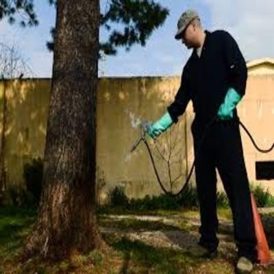 pest control services in london