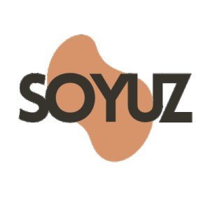 Soyuz Soya Tofu