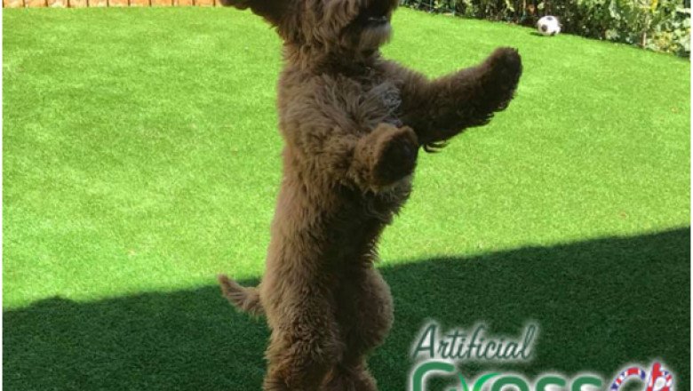 Buy Best Quality 30mm Artificial Grass in UK