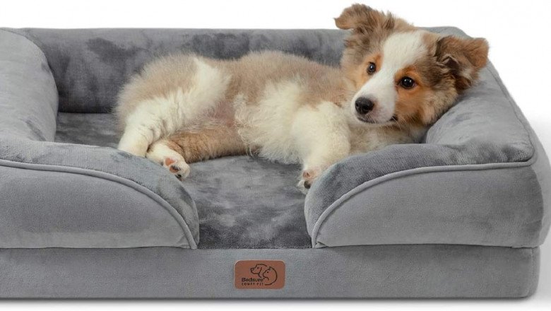 Benefits of an Orthopaedic Dog Bed