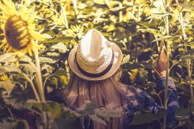 some common information about hat