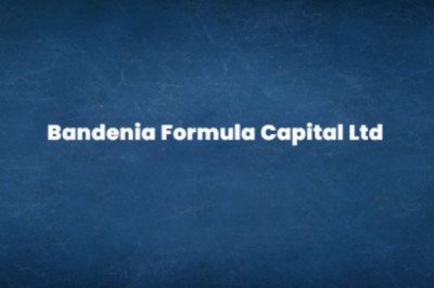 Jose Miguel Artiles Caballos - Why are financial intermediaries needed?