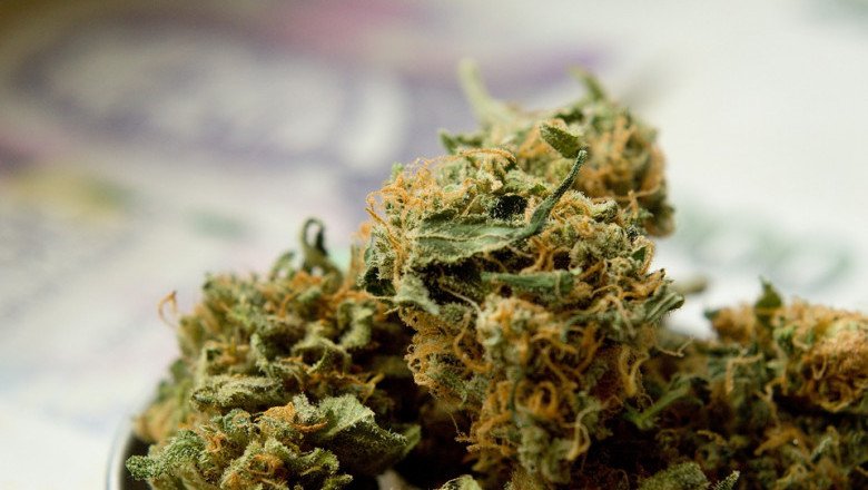 Lamb's Breath - Nuken