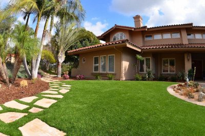 Introducing New Greenery to Your Decor