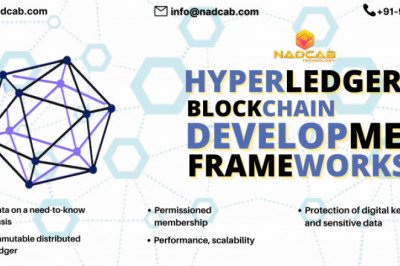 A Guide to Hyperledger Development