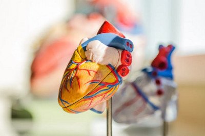somerset heart specialist centre
