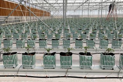 Next Gen Farming Without Soil and 90% Less Water | GRATEFUL