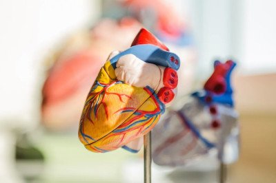 heart specialist centre