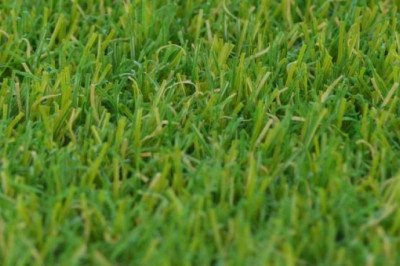 Want to convert your garden into your personal golf course? Buy Soft Artificial Grass!