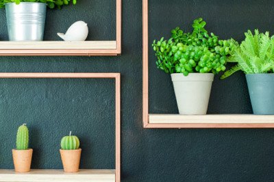 Artificial Plants Market Growth, Share, Forecast, Product, Revenue, Key Player, Regional Demand