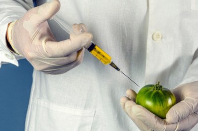 Food Emulsifiers Market Revenue, Share, Statistics, Key Player, Regional Opportunities, Forecast