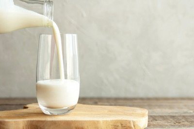 Milk Protein Market Size, Product Category, Regional Demand, Top Companies, Forecast