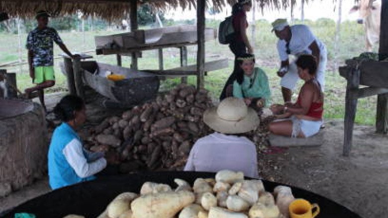 Native Starches Market Share, Growth, Demand, Driven Factor, Insights, Regional Revenue