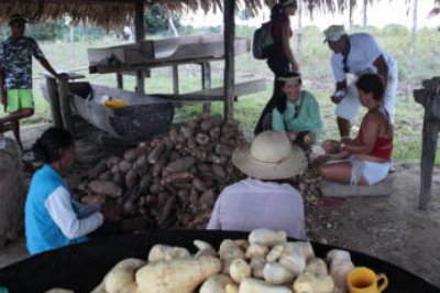Native Starches Market Share, Growth, Demand, Driven Factor, Insights, Regional Revenue